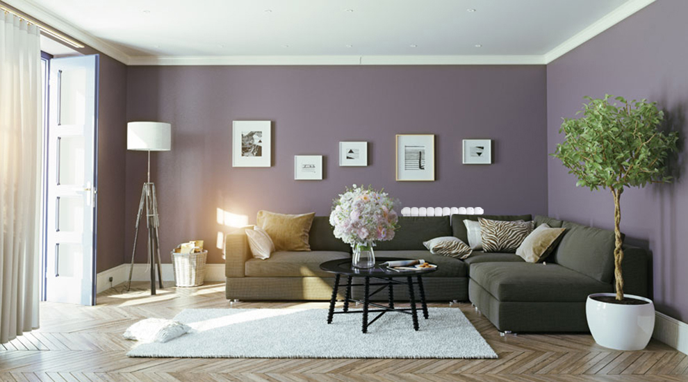 香蕉网在线品牌