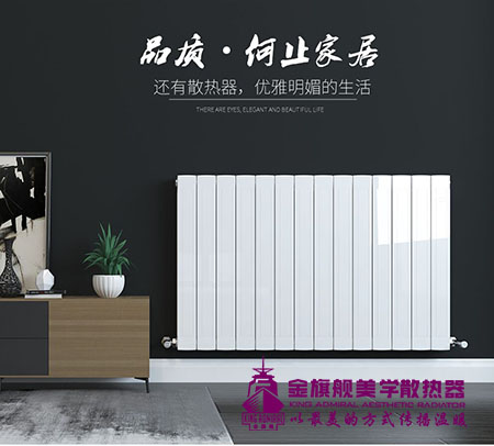 散热器香蕉网在线十大品牌