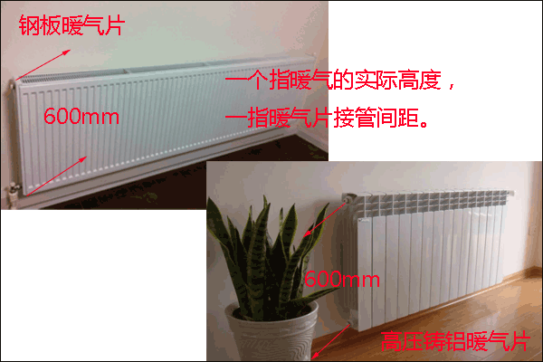 香蕉网在线品牌