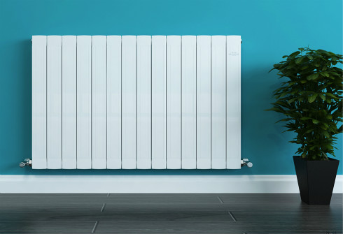 十大品牌香蕉网在线排名